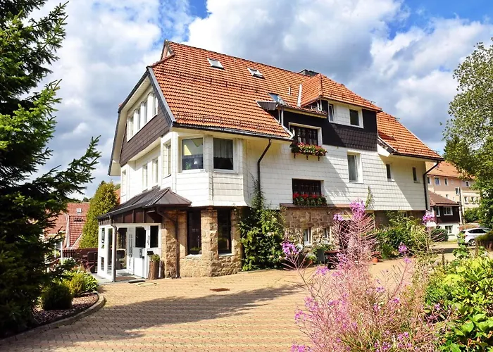 Wappenhof 3* Браунлаге